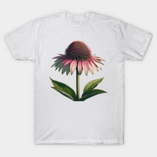 Echinacea Elegance Botanical Illustration T-Shirt